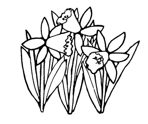 free spring clipart black and white